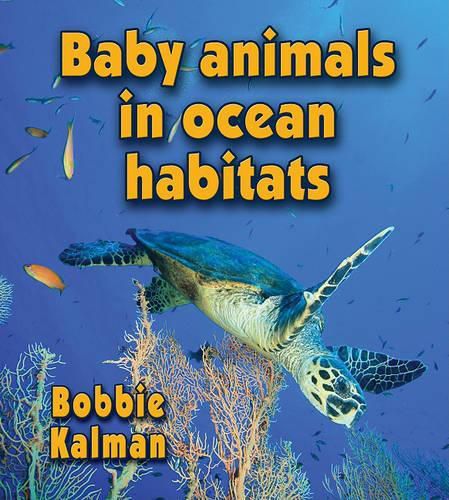 Cover image for Baby Animals in Ocean Habitats