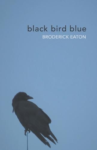 Cover image for black bird blue