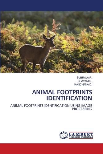 Cover image for Animal Footprints Identification
