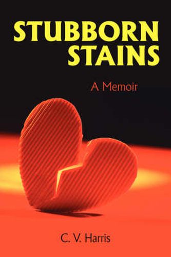 Cover image for Stubborn Stains