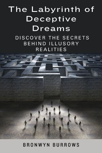 Cover image for The Labyrinth of Deceptive Dreams