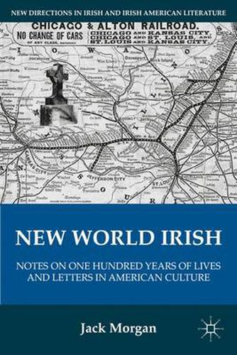 Cover image for New World Irish: Notes on One Hundred Years of Lives and Letters in American Culture