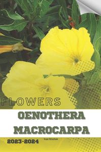 Cover image for Oenothera Macrocarpa