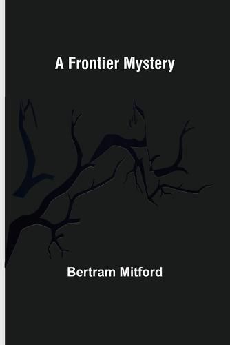 Cover image for A Frontier Mystery