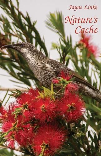 Cover image for Nature's Cache