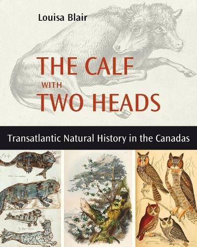Cover image for The Calf with Two Heads