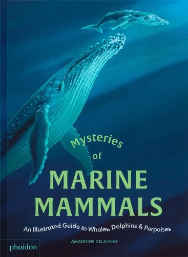 Cover image for Mysteries of Marine Mammals