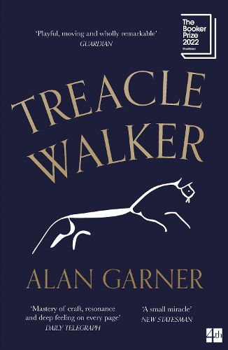 Cover image for Treacle Walker