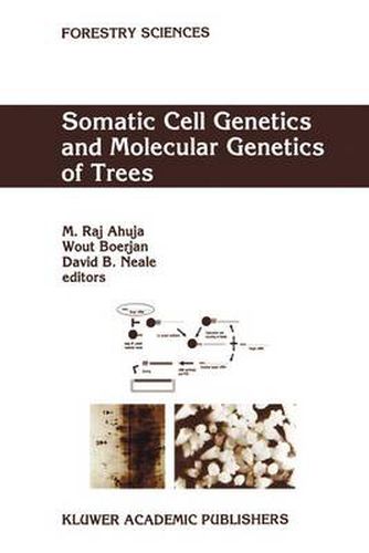 Cover image for Somatic Cell Genetics and Molecular Genetics of Trees