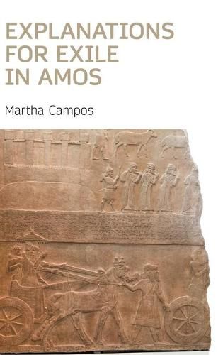 Cover image for Explanations for Exile in Amos