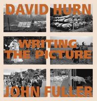 Cover image for Writing the Picture