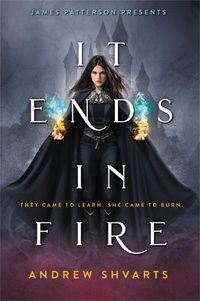 Cover image for It Ends in Fire