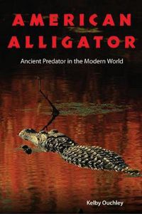 Cover image for American Alligator: Ancient Predator in the Modern World