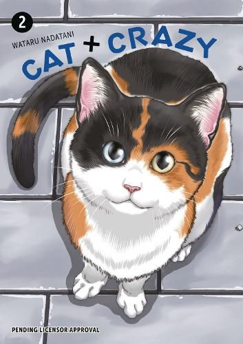 Cover image for Cat + Crazy Volume 2