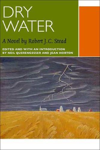 Cover image for Dry Water: A Novel by Robert J.C. Stead