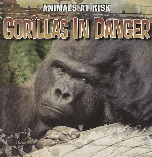 Cover image for Gorillas in Danger