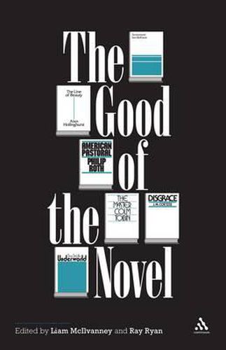 Cover image for The Good of the Novel