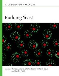 Cover image for Budding Yeast: A Laboratory Manual