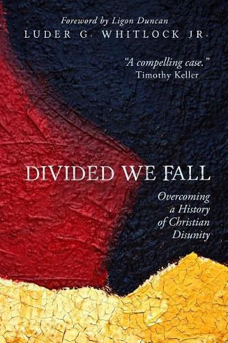 Cover image for Divided We Fall