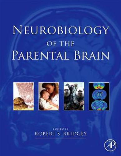 Cover image for Neurobiology of the Parental Brain