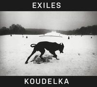Cover image for Josef Koudelka: Exiles
