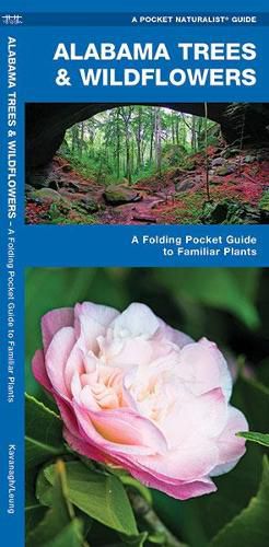 Cover image for Alabama Trees & Wildflowers: A Folding Pocket Guide to Familiar Plants