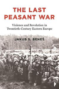 Cover image for The Last Peasant War