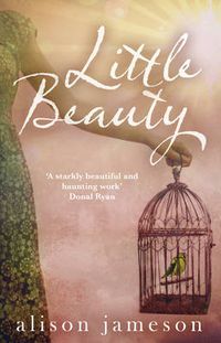 Cover image for Little Beauty