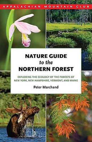 Cover image for Nature Guide to the Northern Forest: Exploring the Ecology of the Forests of New York, New Hampshire, Vermont, and Maine