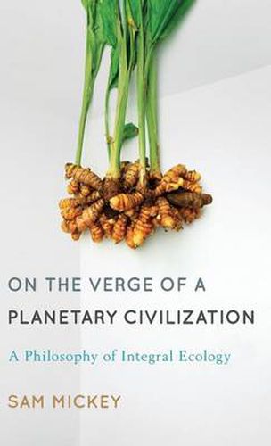 Cover image for On the Verge of a Planetary Civilization: A Philosophy of Integral Ecology