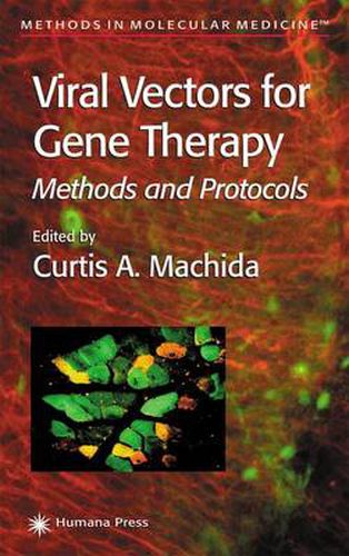 Cover image for Viral Vectors for Gene Therapy: Methods and Protocols