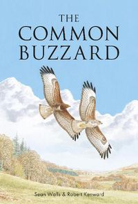 Cover image for The Common Buzzard