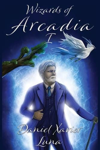 Cover image for Wizards of Arcadia 1