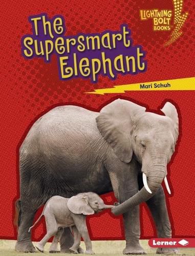 Cover image for The Supersmart Elephant