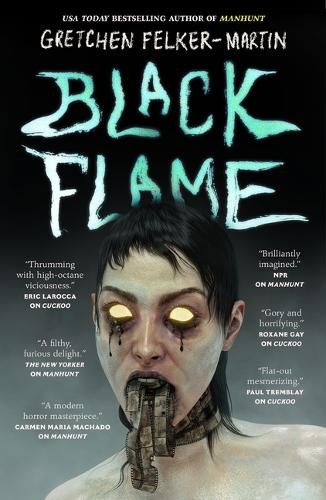 Cover image for Black Flame