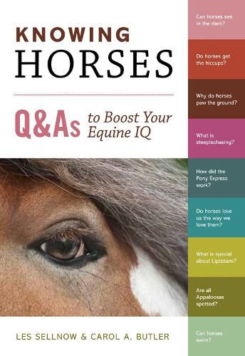 Cover image for Knowing Horses