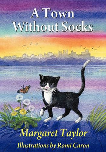 Cover image for A Town Without Socks