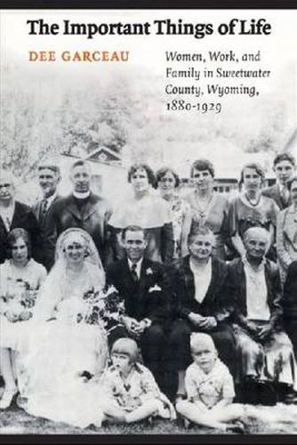 Cover image for The Important Things of Life: Women, Work, and Family in Sweetwater County, Wyoming, 1880-1929