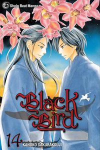 Cover image for Black Bird, Vol. 14