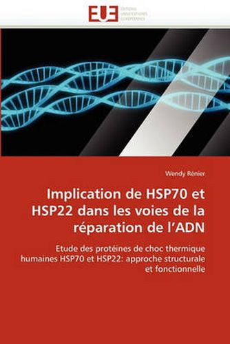 Cover image for Implication de Hsp70 Et Hsp22 Dans Les Voies de La R Paration de L'Adn