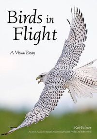 Cover image for Birds In Flight: A Visual Essay