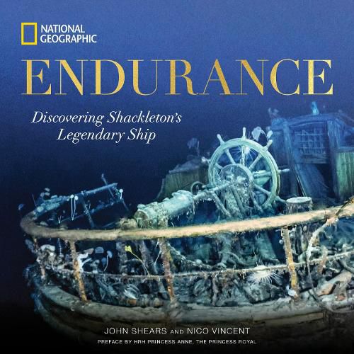 Cover image for Endurance