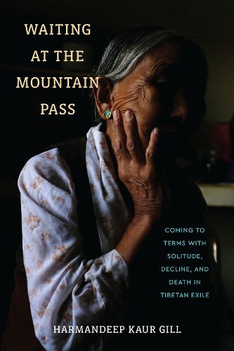 Cover image for Waiting at the Mountain Pass