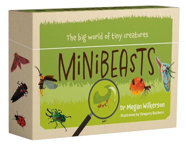 Cover image for Minibeasts