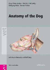 Cover image for Anatomy of the Dog: An Illustrated Text, Fifth Edition