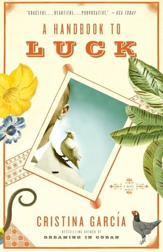 Cover image for A Handbook to Luck