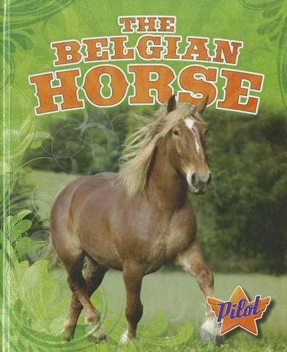 Cover image for The Belgian Horse