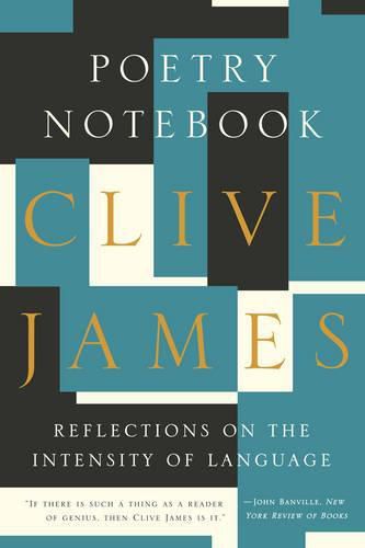Cover image for Poetry Notebook: Reflections on the Intensity of Language