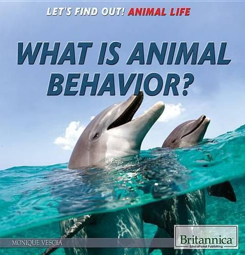 What Is Animal Behavior?