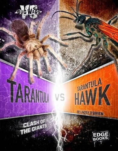 Cover image for Tarantula VS Tarantula Hawk: Clash of The Giants